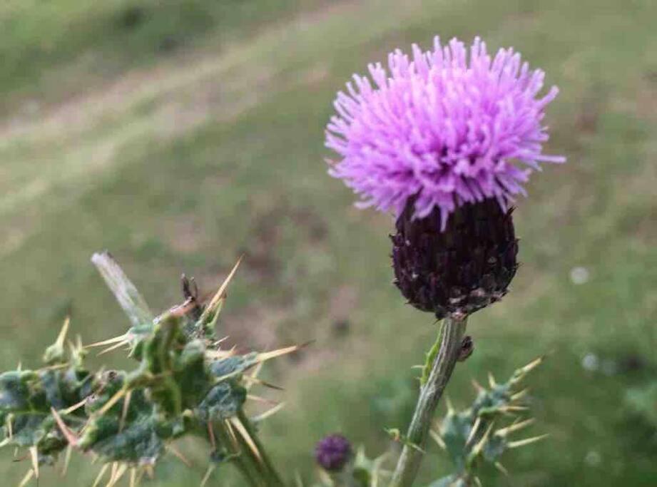 Cragside Villa Callander Bagian luar foto